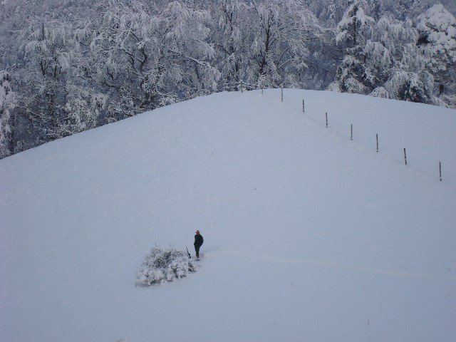 ../Images/Jagd 030.jpg